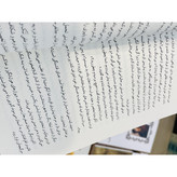 کتاب بیابان تاتارها، نوشته دینو بوتزاتی و ترجمه سروش حبیبی از انتشارات ماهی