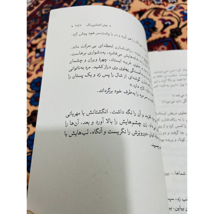 رمان باشکوه خوشه های خشم نوشته جان اشتاین بِک با ترجمه شاهرخ مسکوب و انتشارات امیرکبیر