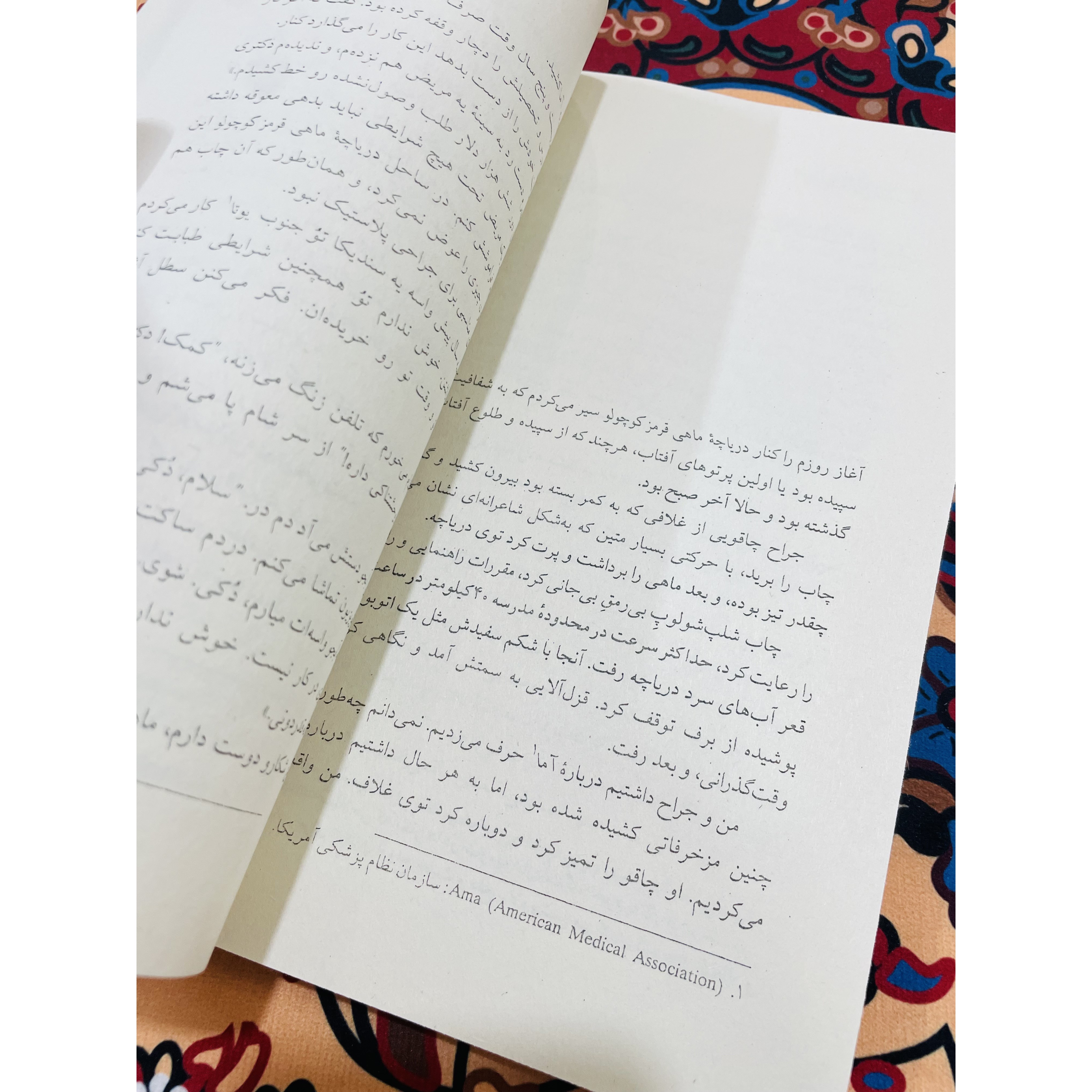 کتاب صید قزل آلا در آمریکا ریچارد براتینگان ، نشرچشمه