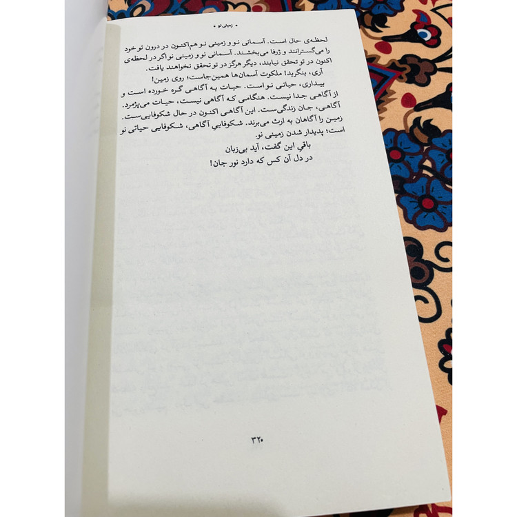 کتاب زمینی نو اثر اکهارت توله ترجمه مسیحا برزگر انتشارات خانه معنا