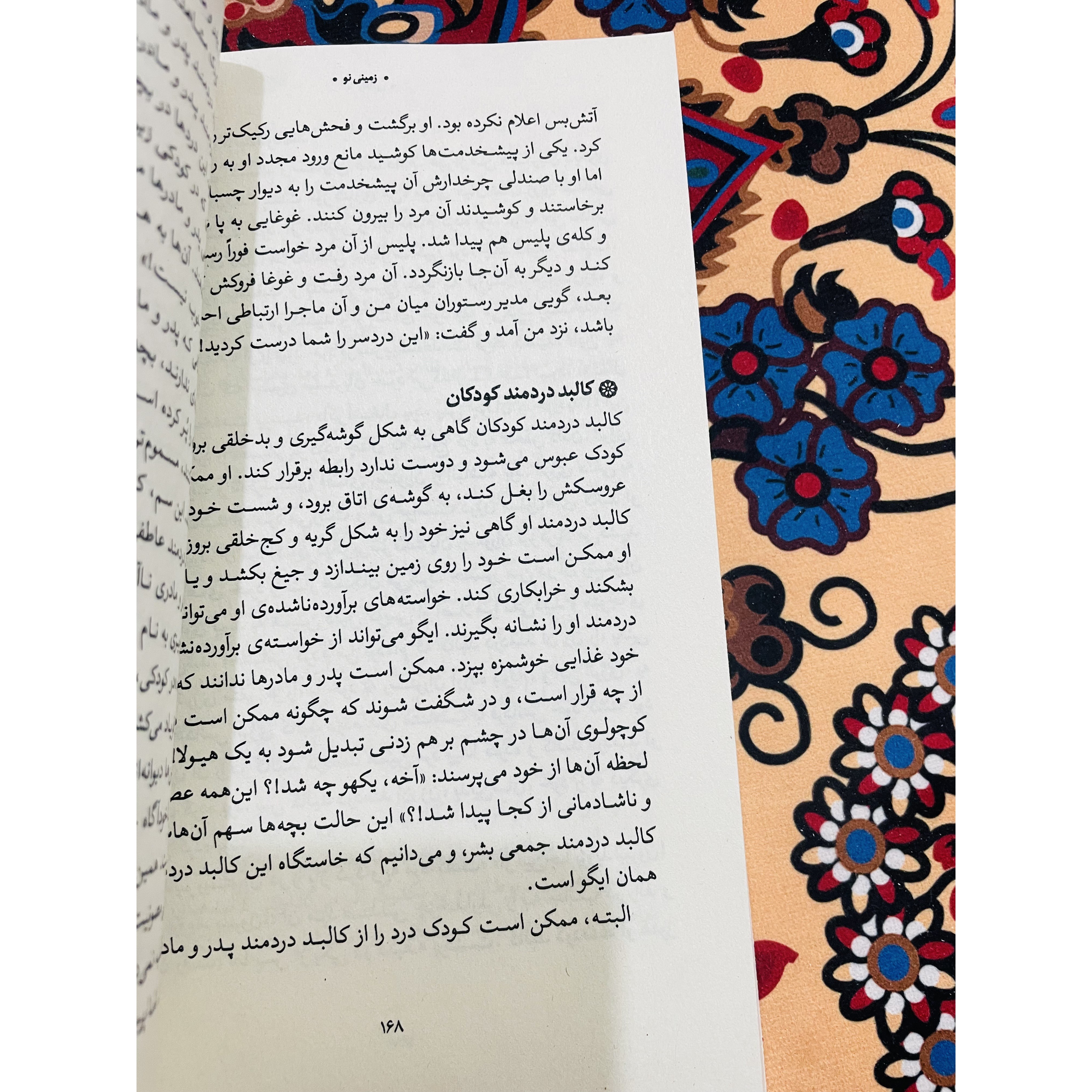 کتاب زمینی نو اثر اکهارت توله ترجمه مسیحا برزگر انتشارات خانه معنا