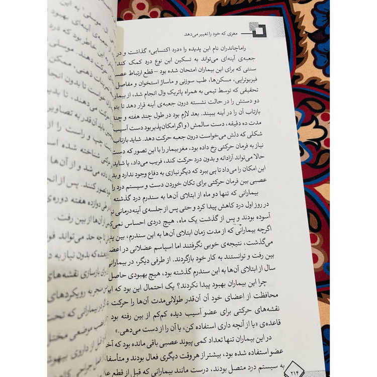 کتاب مغزی که خود را تغییر می دهد ( درخشان ، شفاف و بسیار جذاب)