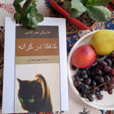 کتاب کافکا در کرانه