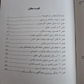 کتاب زنانی که با گرگها می دوند کتابی عمیقا معنوی و مسحور کننده